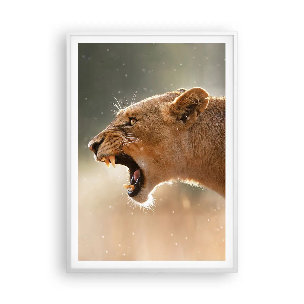 Poster in een witte lijst - Probeer niet te luisteren - 70x100 cm