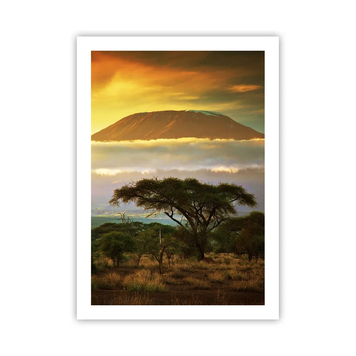 Poster - Een reizigersdroom - 50x70 cm