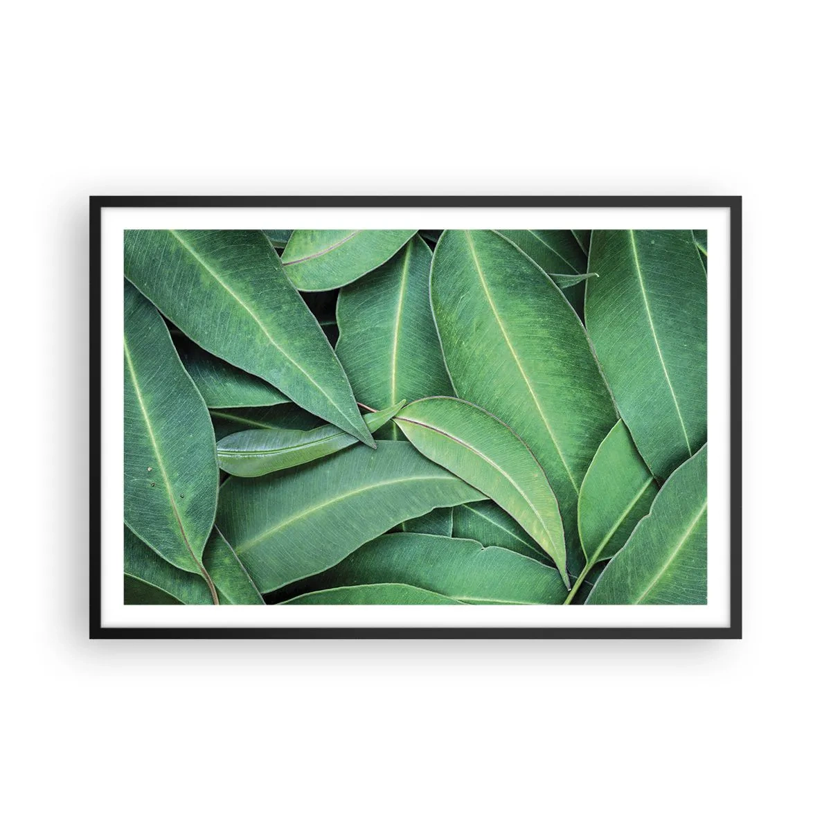 Poster in een zwarte lijst - Sappig en fris - 91x61 cm