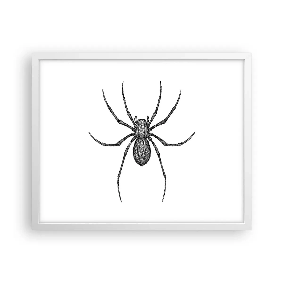 Poster in een witte lijst - Verontrustende precisie - 50x40 cm