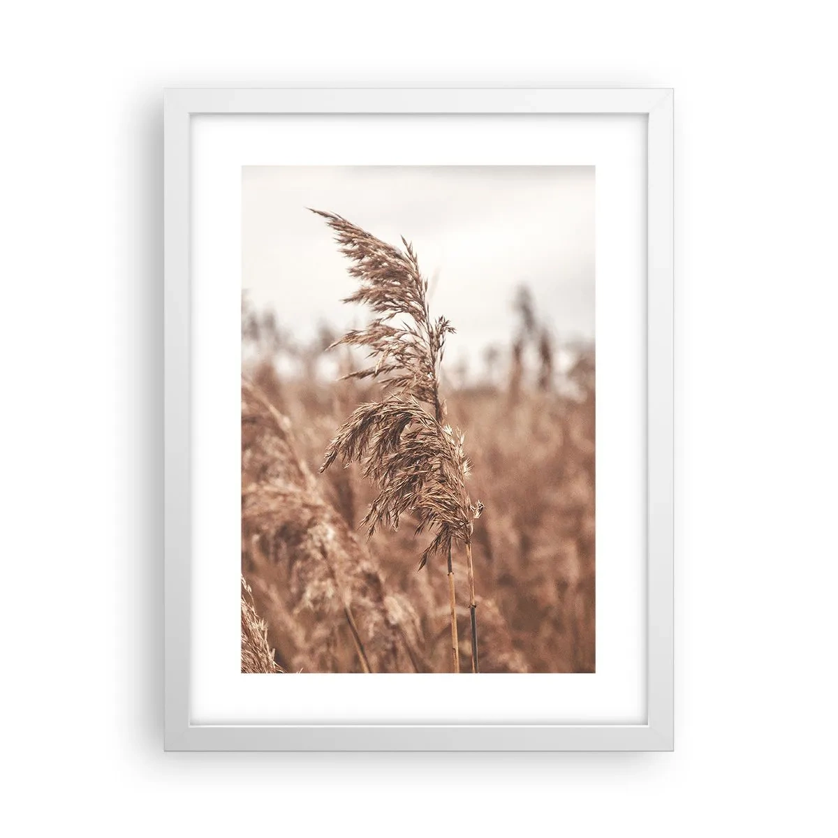 Poster in een witte lijst - Het is al herfst in de velden - 30x40 cm