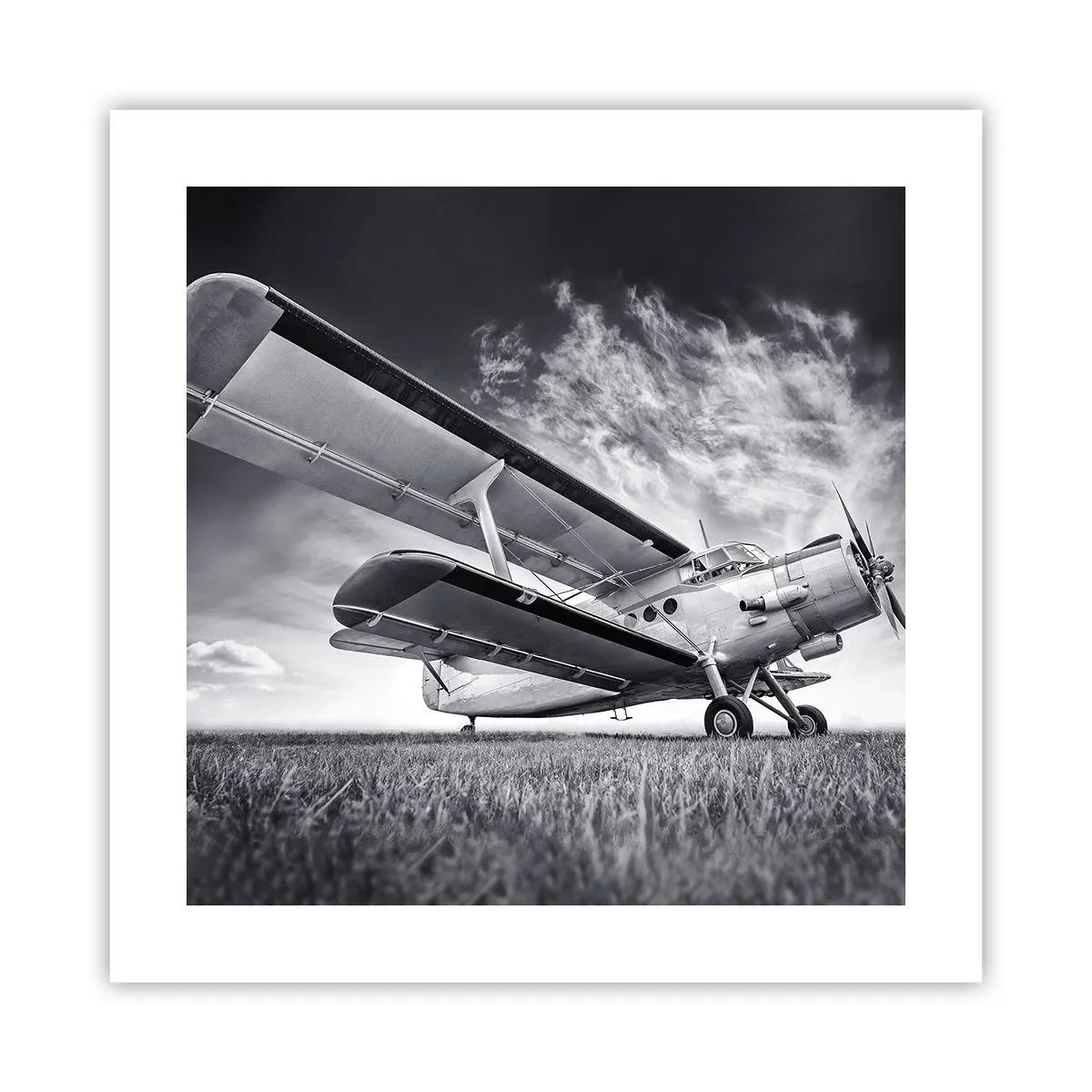 Poster - De gevleugelde zwerver - 40x40 cm