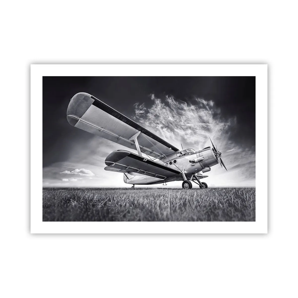 Poster - De gevleugelde zwerver - 70x50 cm