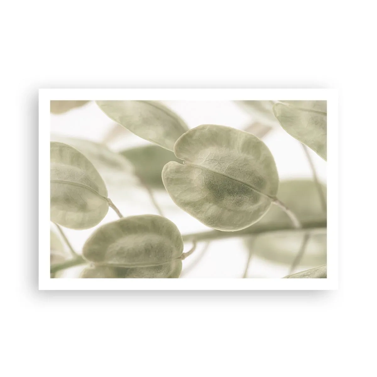 Poster - In het begin waren er bladeren... - 91x61 cm