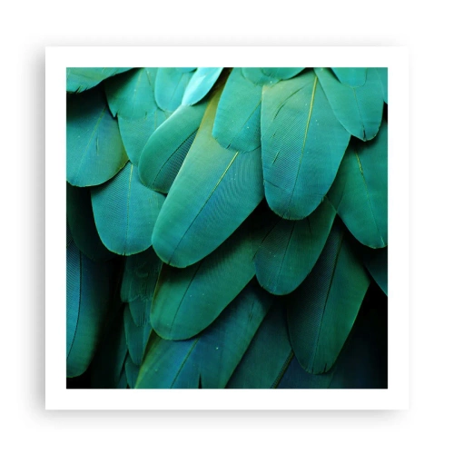 Poster - Papegaaiachtige precisie - 60x60 cm