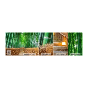 Fotobehang Staaltje Standard Eco - De essentie van de aziatische natuur - Bamboe, Bamboo Bos, Natuur - 100x30 cm
