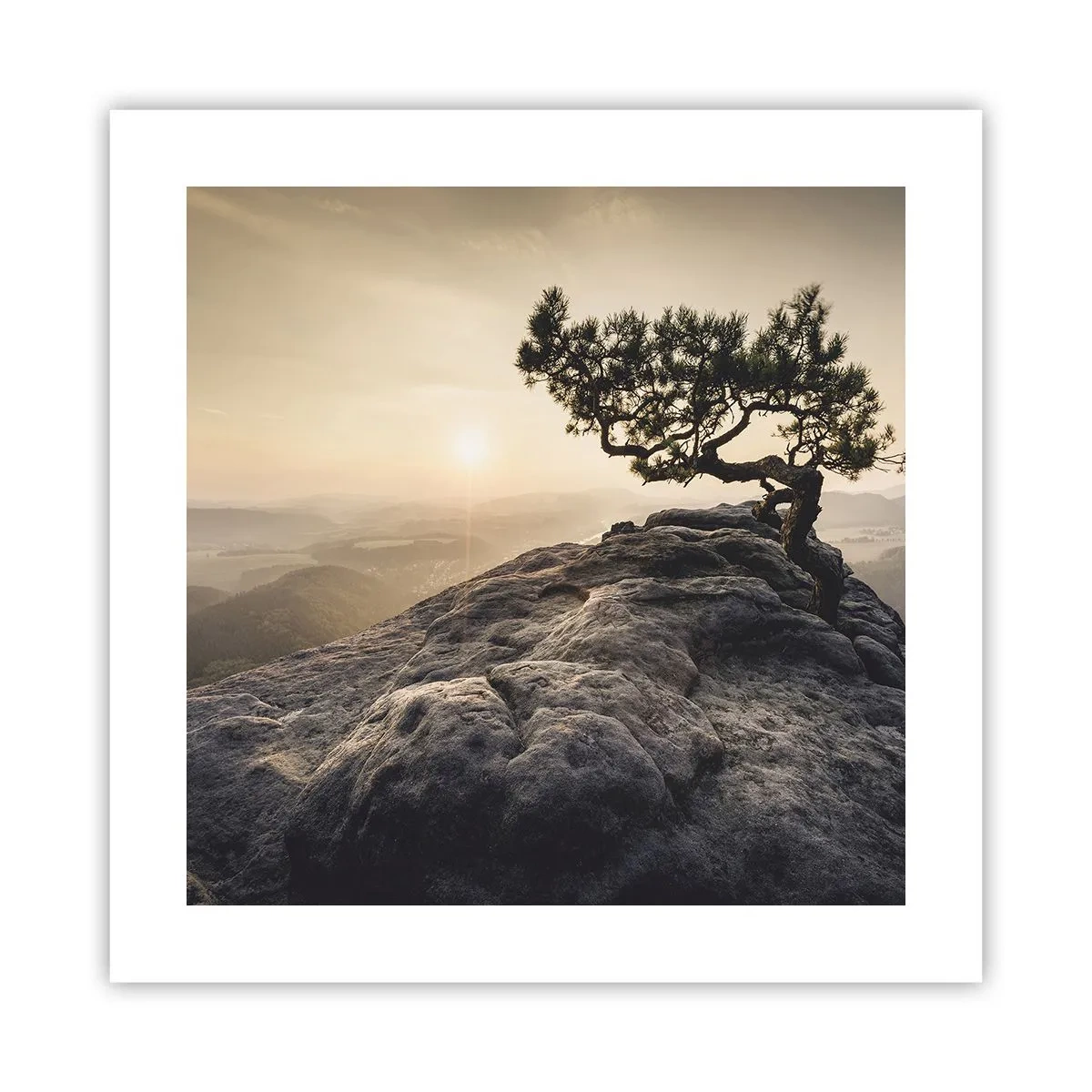 Poster - Het leven wint altijd - 40x40 cm