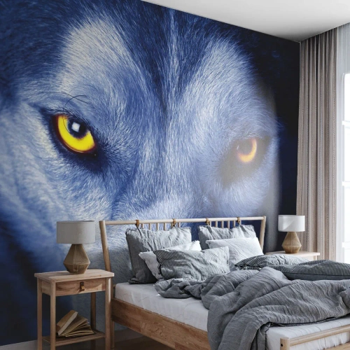 Zelfklevend Fotobehang Deluxe Sticker - Betoverende look - Dieren, Wolf, Ogen - 150x105 cm