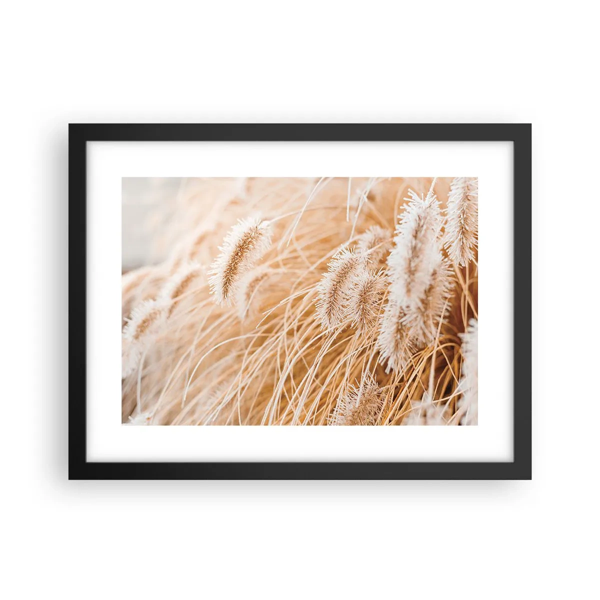 Poster in een zwarte lijst - Het gouden geritsel van het gras - 40x30 cm