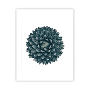 Poster - De ster van de woestijn - 40x50 cm