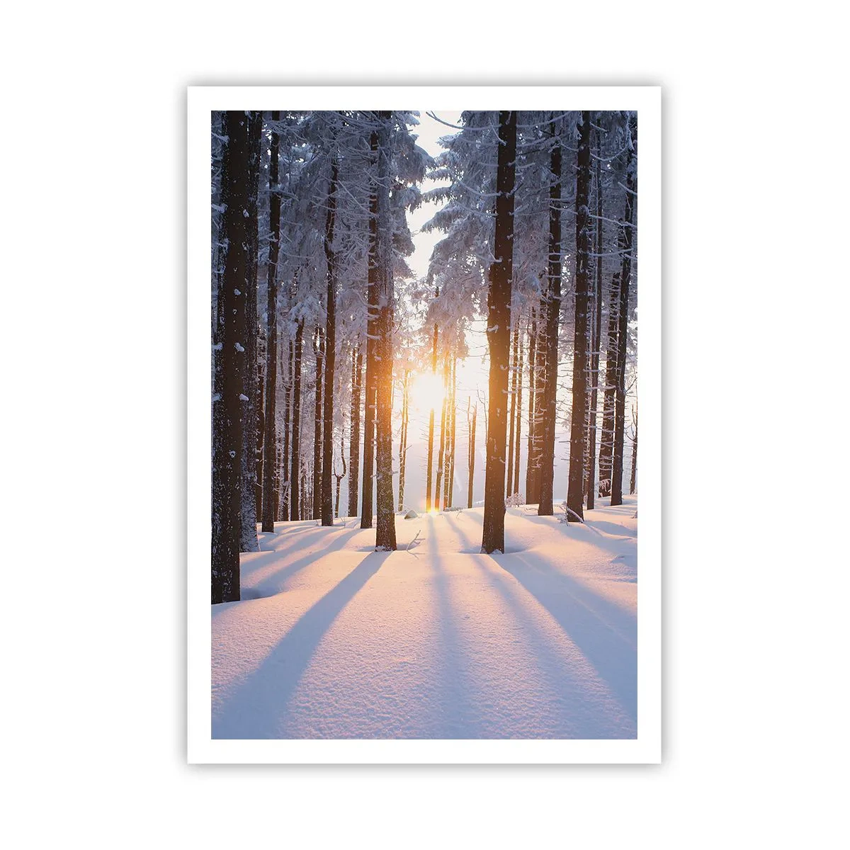 Poster - Duidelijk in zwart-wit - 70x100 cm