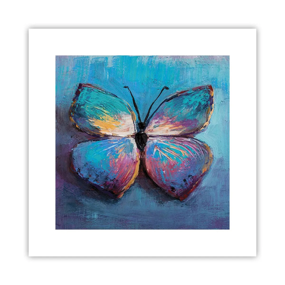 Poster - In al zijn glorie - 30x30 cm