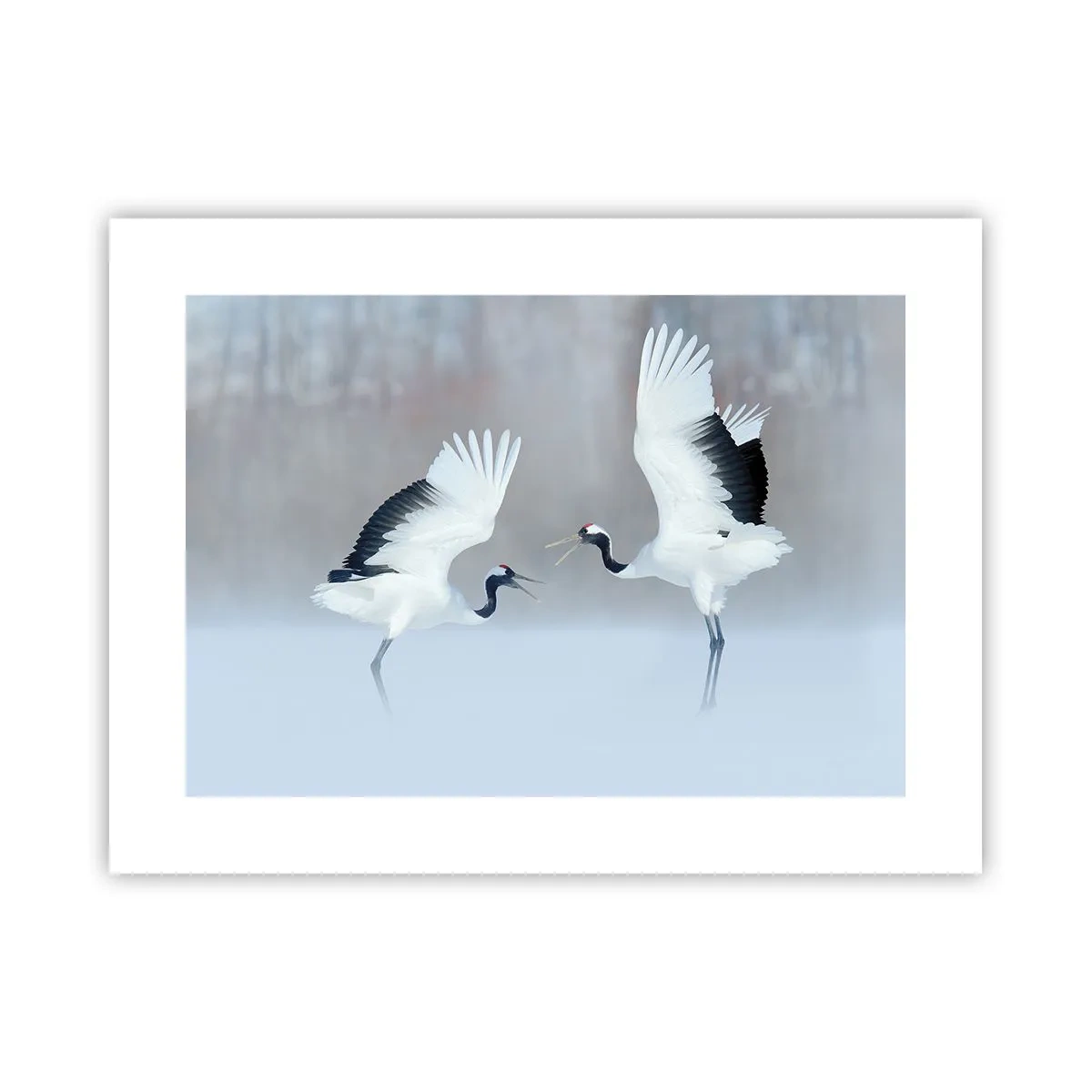 Poster - Dans in de mist - 40x30 cm