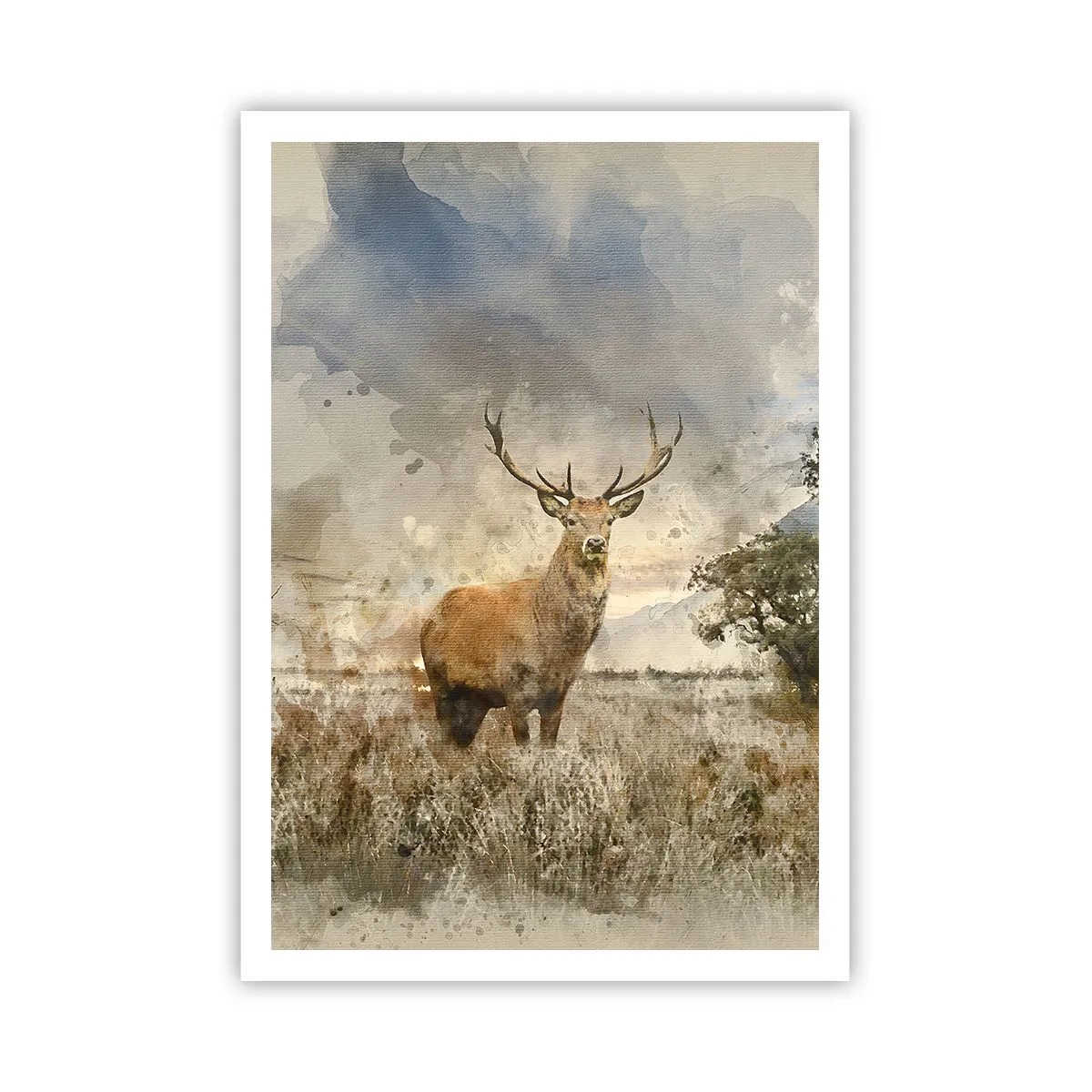 Poster - Waardigheid - kracht - waardigheid - 70x100 cm