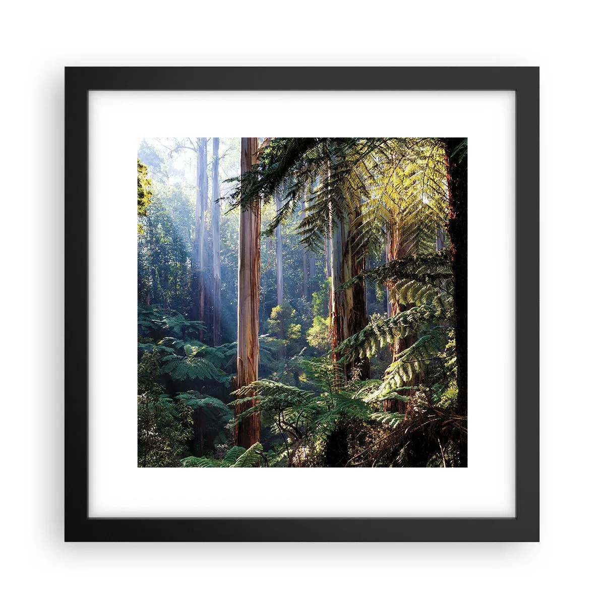 Poster in een zwarte lijst - Een bossprookje - 30x30 cm