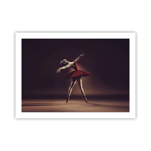 Poster - Een prima ballerina - 70x50 cm
