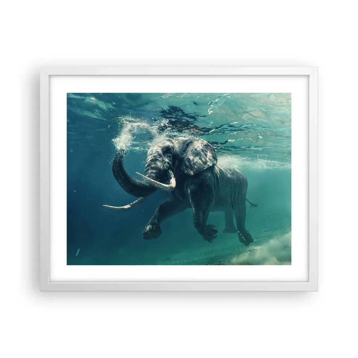 Poster in een witte lijst - Iedereen houdt van zwemmen - 50x40 cm