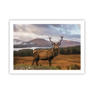 Poster - De majesteit van de natuur - 70x50 cm