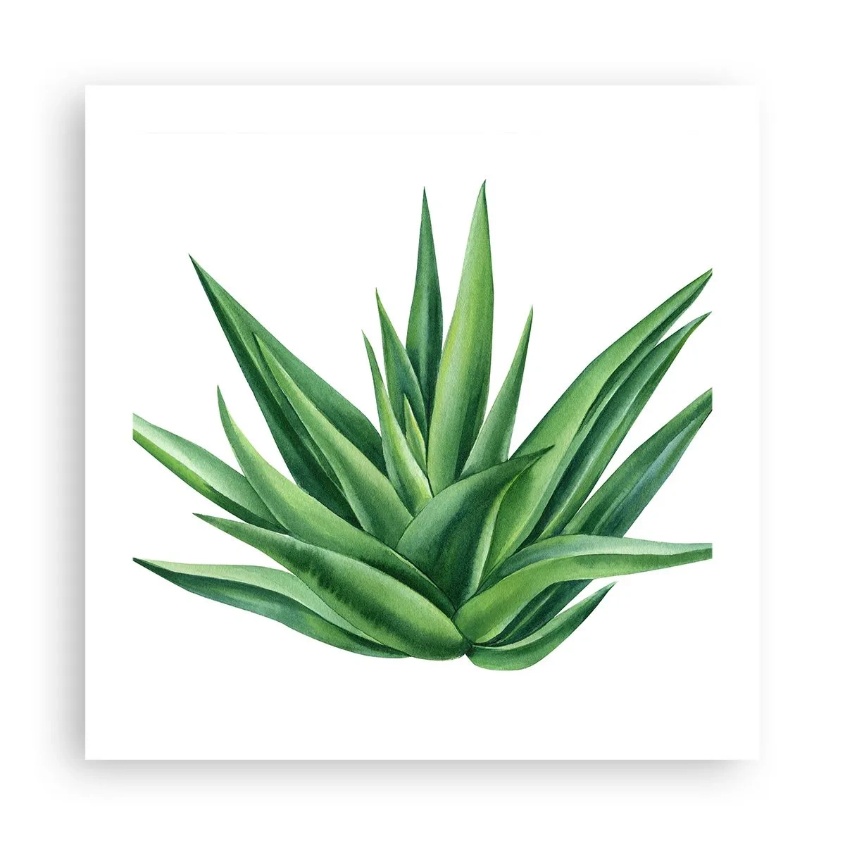Poster - Groen – kracht – leven - 50x50 cm