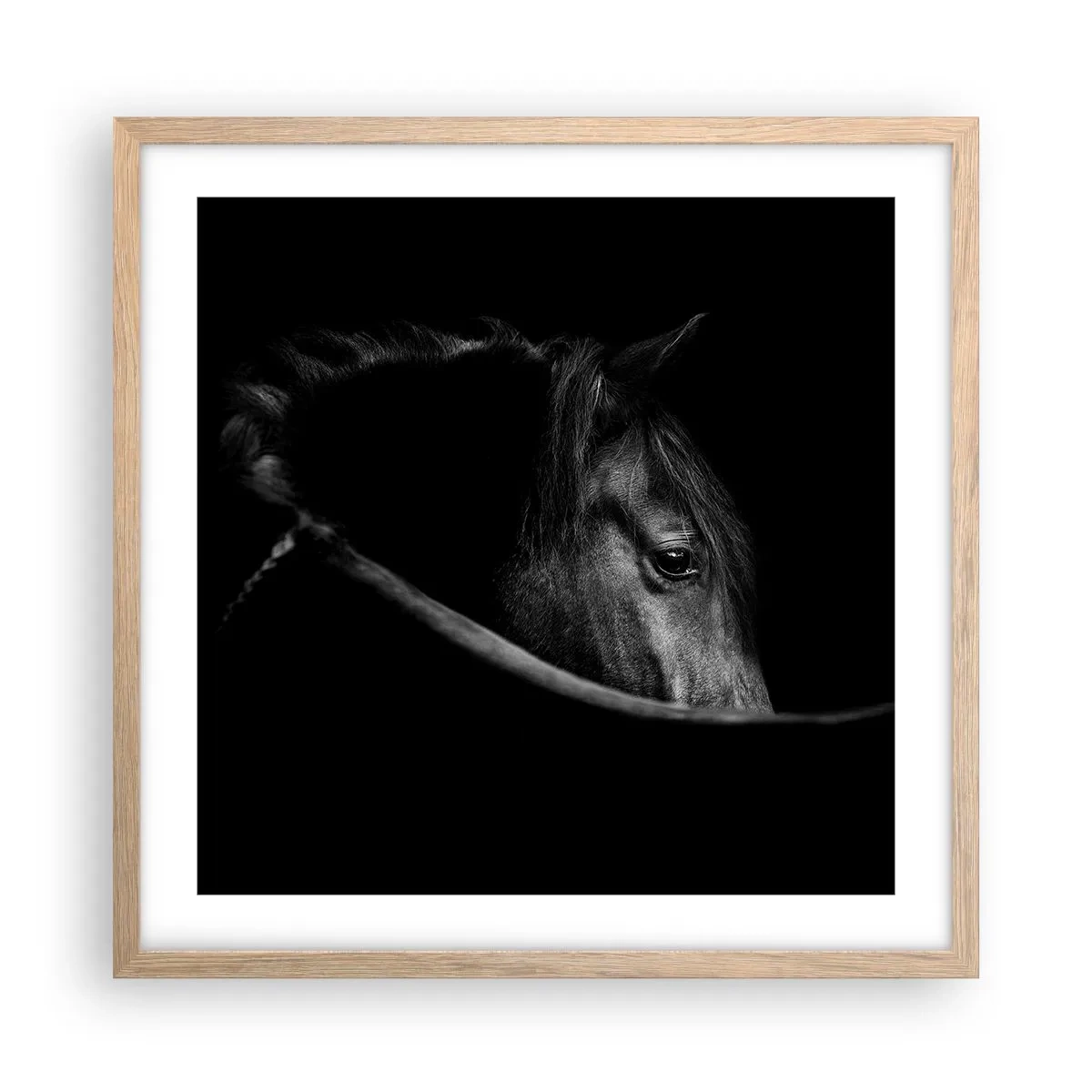 Een poster in een licht eiken lijst - Zwarte Prins - 50x50 cm