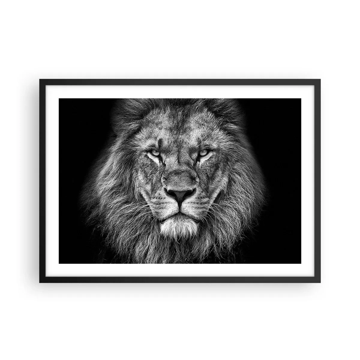 Poster in een zwarte lijst - In een kroningskleed - 70x50 cm