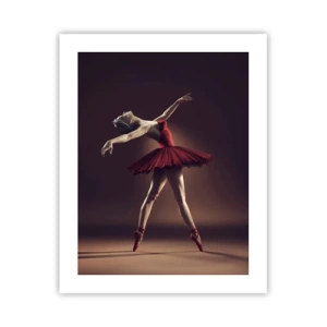 Poster - Een prima ballerina - 40x50 cm