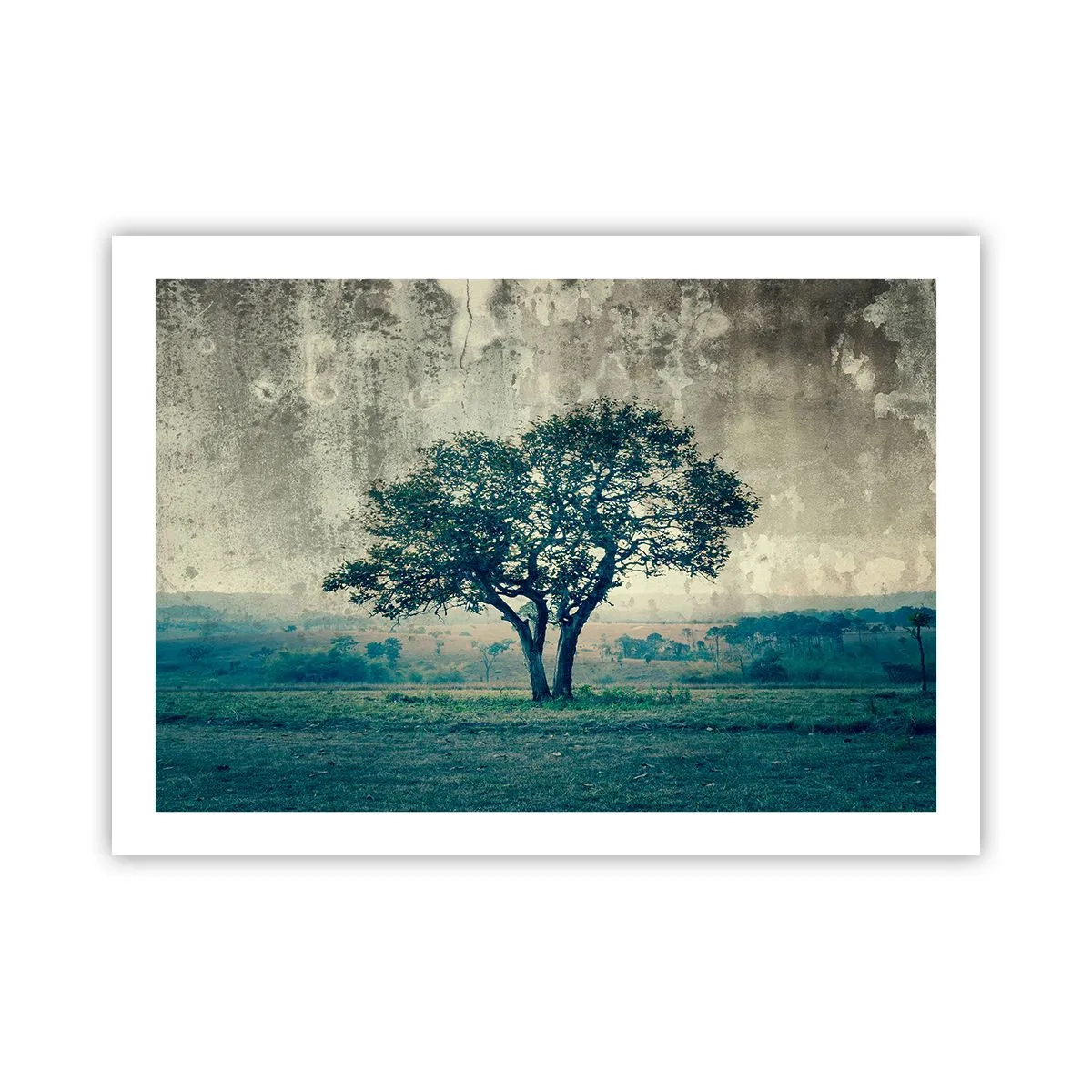 Poster - Een appelboom op een blauw veld? - 70x50 cm
