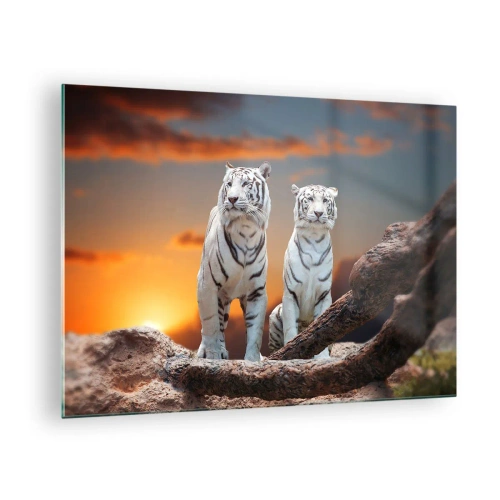 Schilderen op glas - Witte tijgers tegen de ondergaande zon - 70x50cm - Net als in Narnia - Moderne wanddecoratie voor woonkamer en slaapkamer ARTTOR