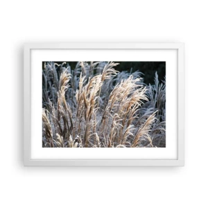 Poster in een witte lijst - Gekleed met vorst - 40x30 cm