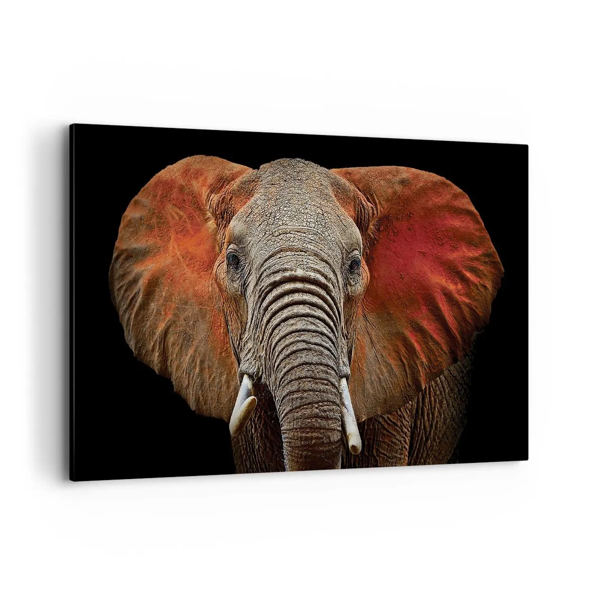 Schilderen op canvas - Ik ben wild, en jij? - 120x80 cm