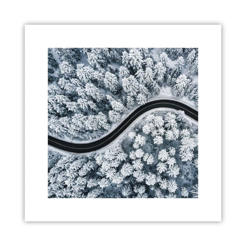Poster - Door het winterbos - 30x30 cm