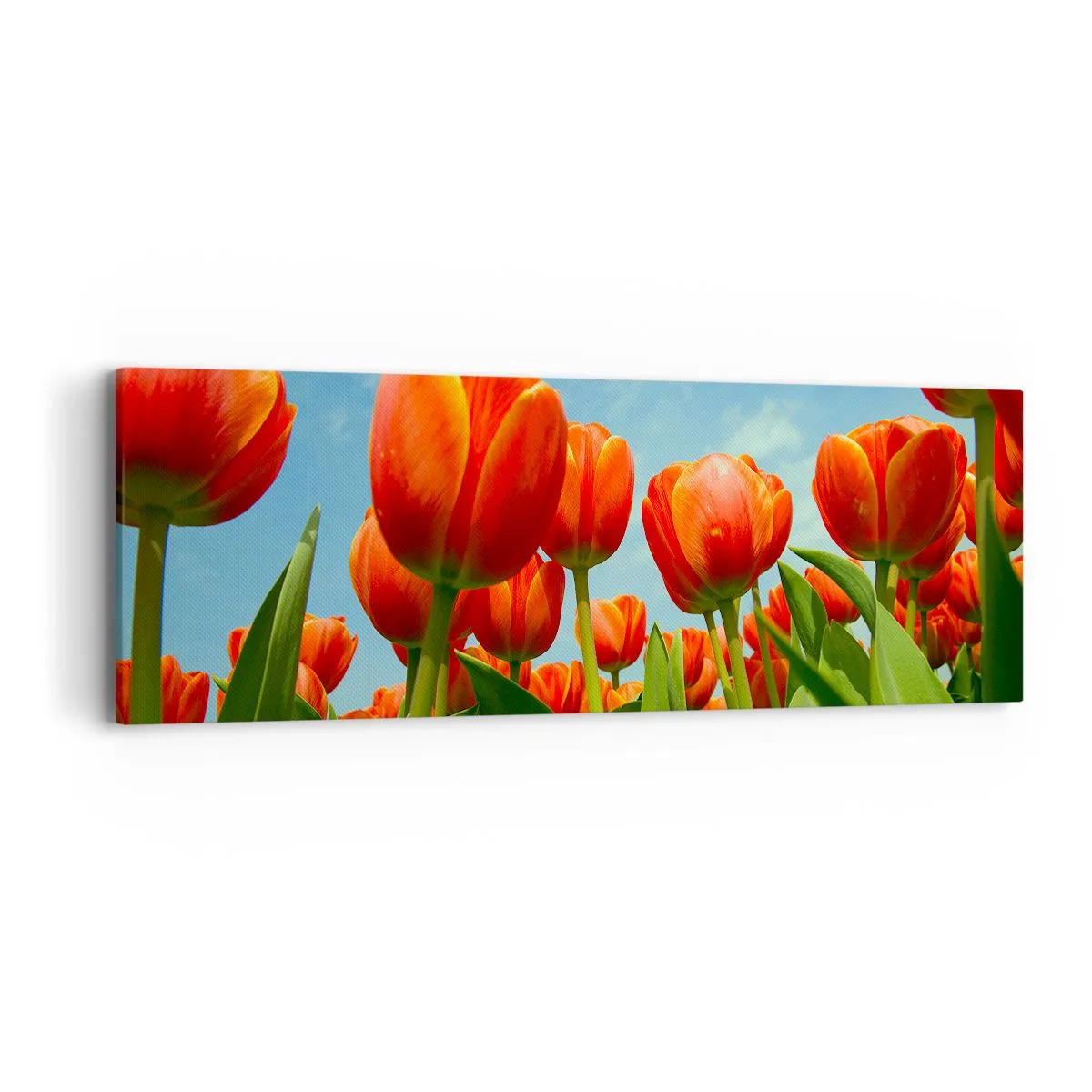 Schilderen op canvas - Afgezien van de blauwe lucht hebben ze niets nodig in hun leven - 90x30 cm