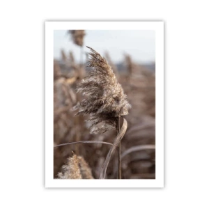 Poster - Tijd om met de wind mee te gaan - 50x70 cm