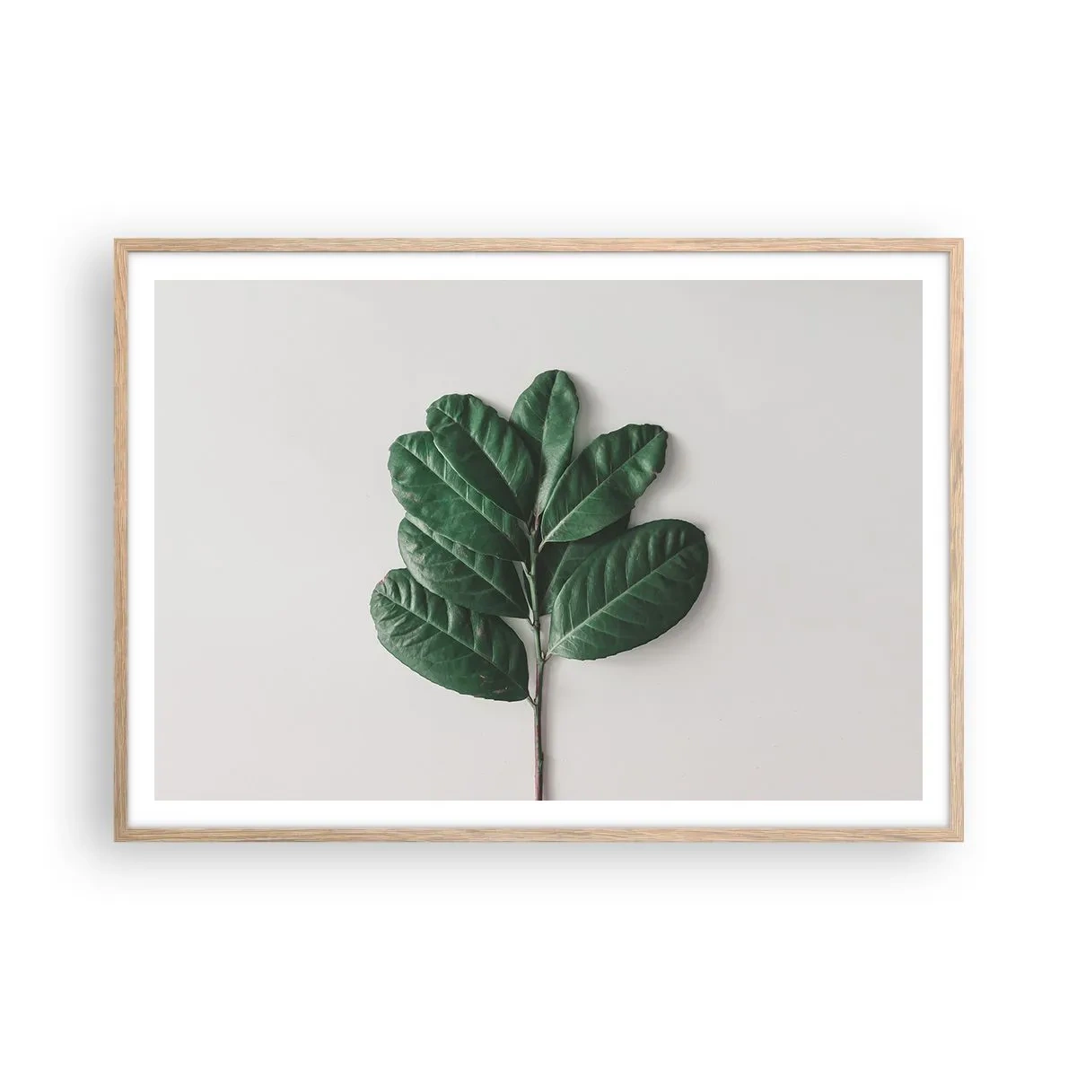 Een poster in een licht eiken lijst - Een tekening van de pure natuur - 100x70 cm