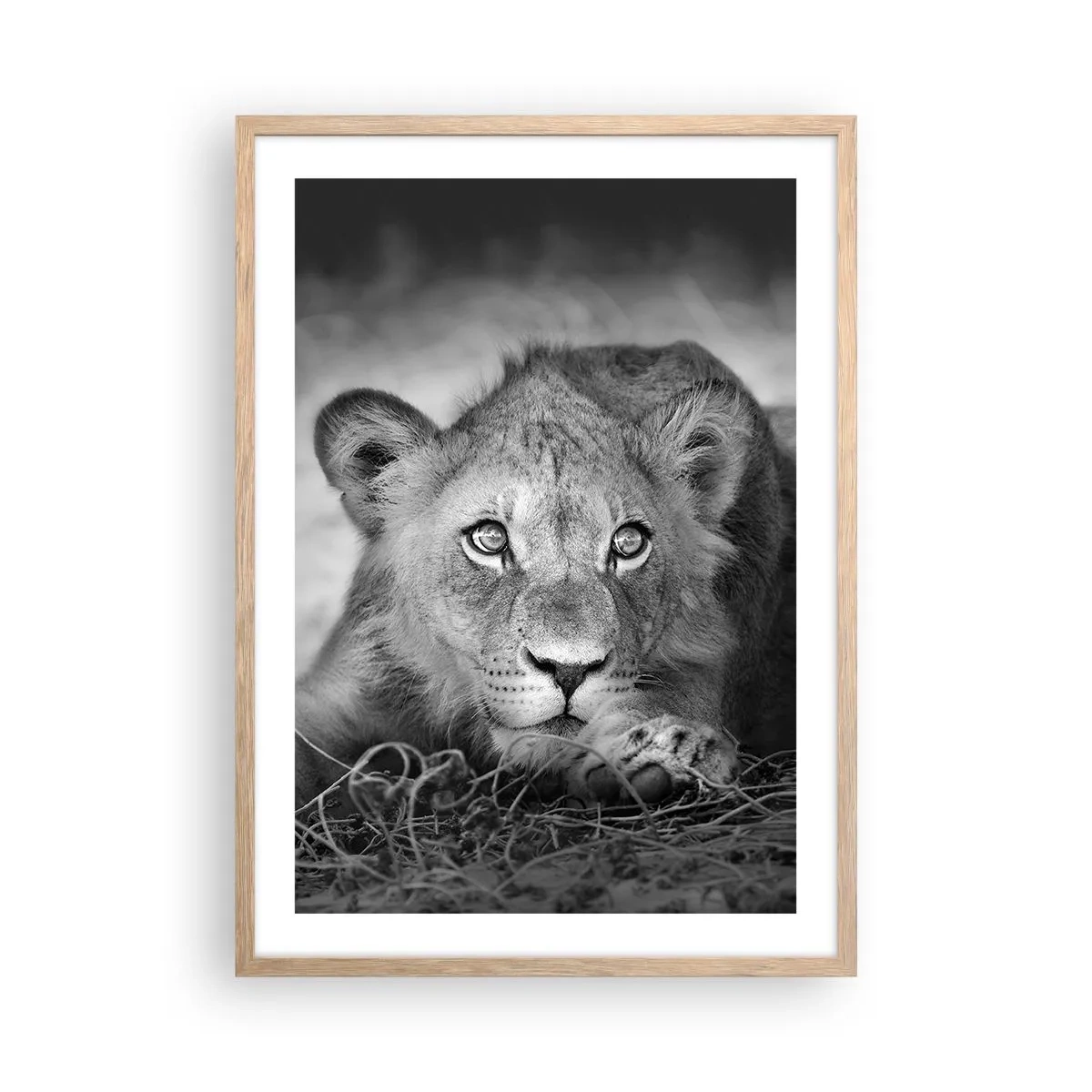 Een poster in een licht eiken lijst - Koninklijke puppy - 50x70 cm