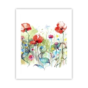 Poster - Bloeiende meiweide - 40x50 cm
