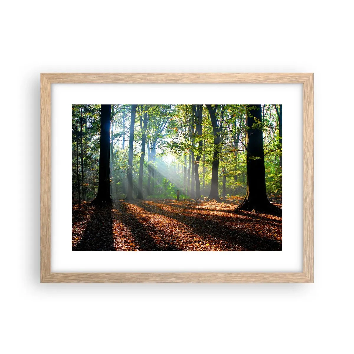 Een poster in een licht eiken lijst - Lichten en schaduwen - 40x30 cm