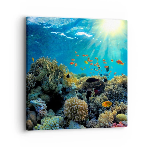 Schilderen op canvas - Onderwater schatten - 40x40 cm