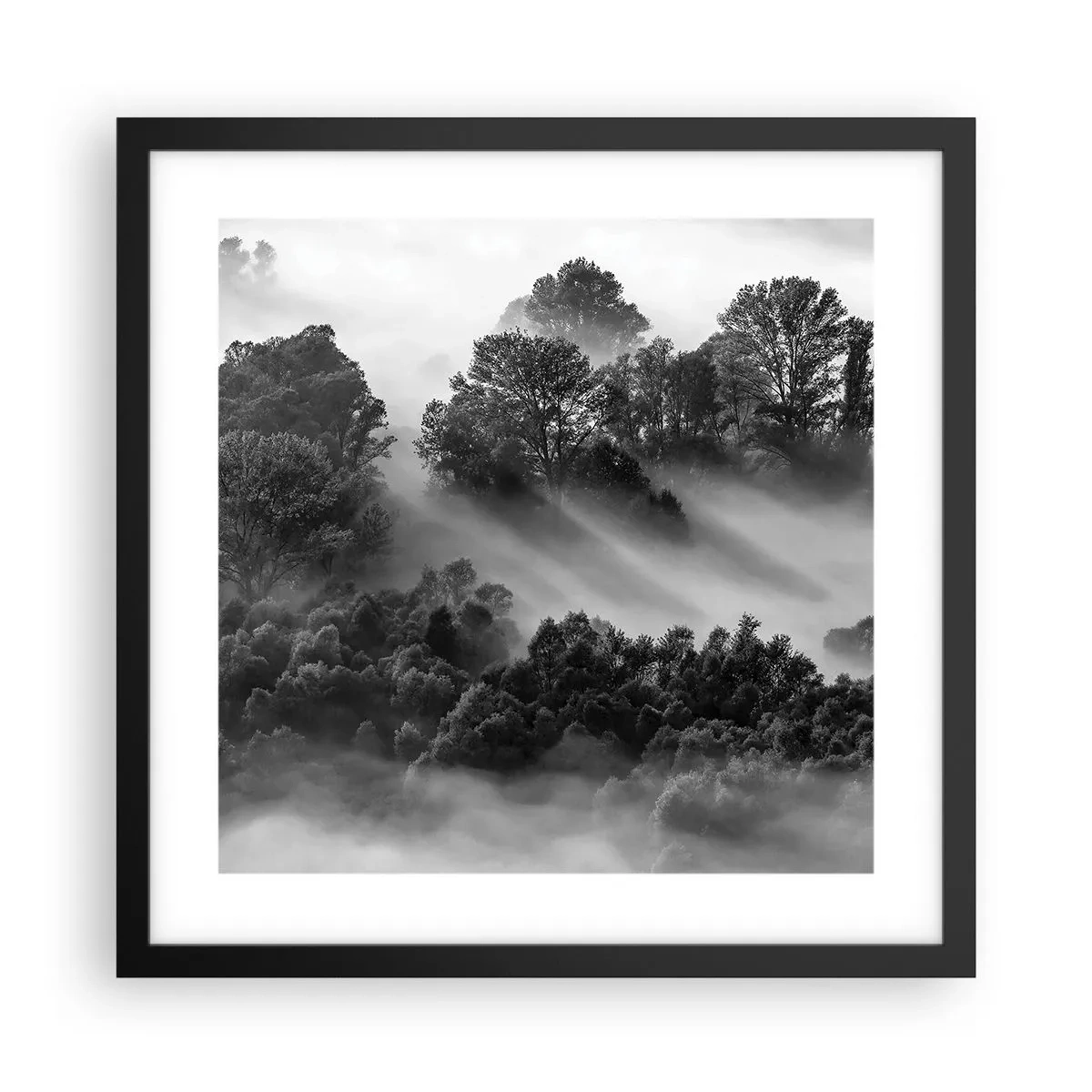 Poster in een zwarte lijst - Opstaand ​​uit de slaap - 40x40 cm