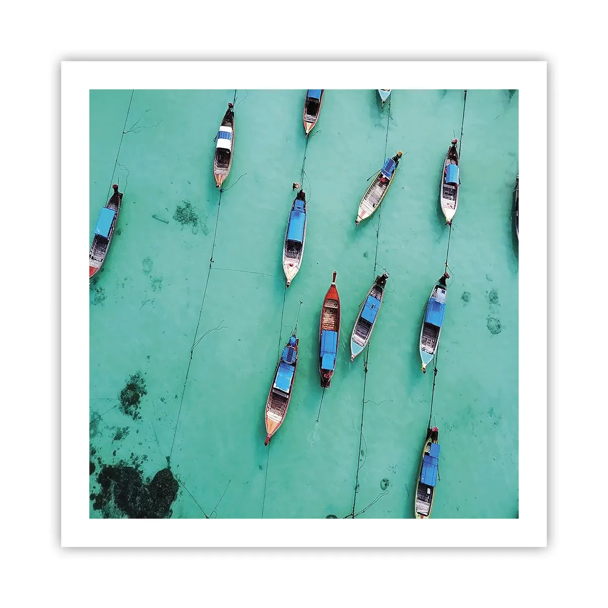 Poster - In blijde verwachting - 60x60 cm