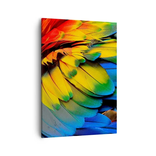Schilderen op canvas - Paradijsvogel - 50x70 cm