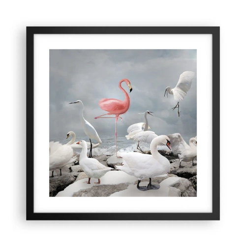 Poster in een zwarte lijst - Hoe ben ik hier terecht gekomen? - 40x40 cm