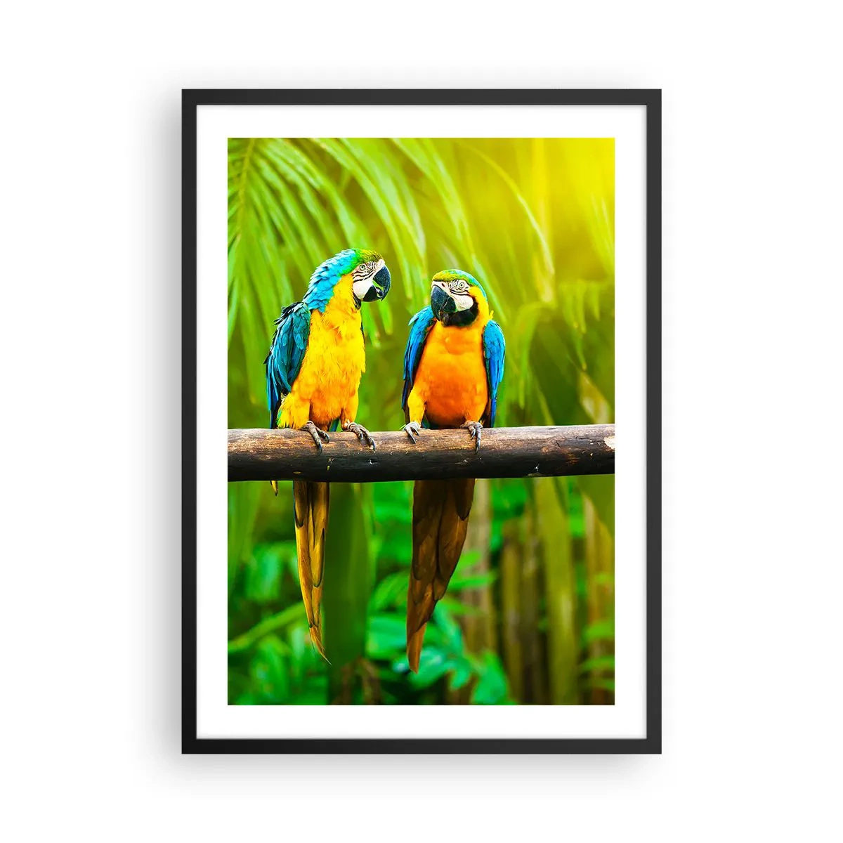Poster in een zwarte lijst - Levendig gekleurde papegaaien in een tropische omgeving - 50x70cm - En heb je gehoord dat ze...? - Moderne wanddecoratie voor woonkamer en slaapkamer ARTTOR