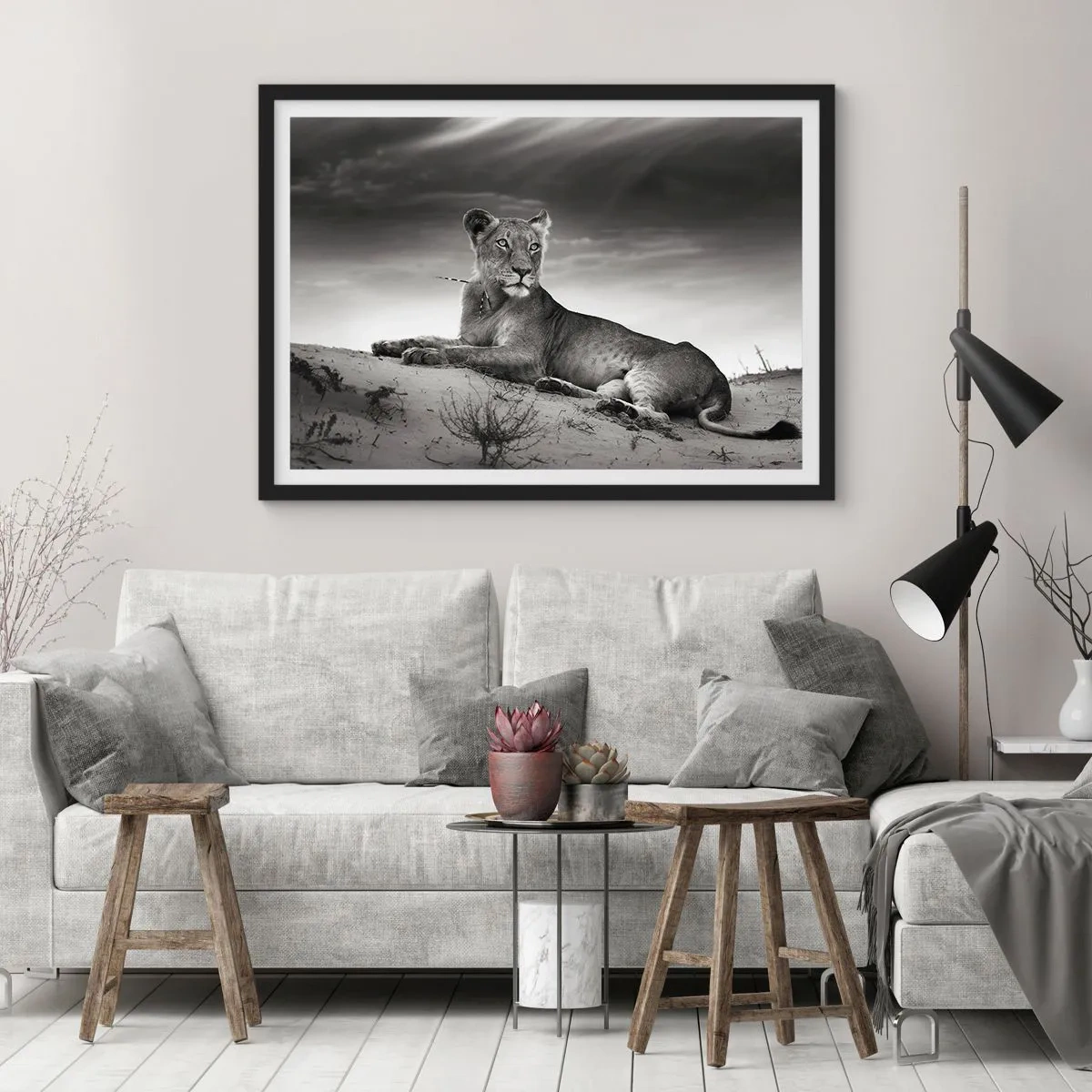 Poster in een zwarte lijst - De koningin van de woestijn rust - 100x70 cm