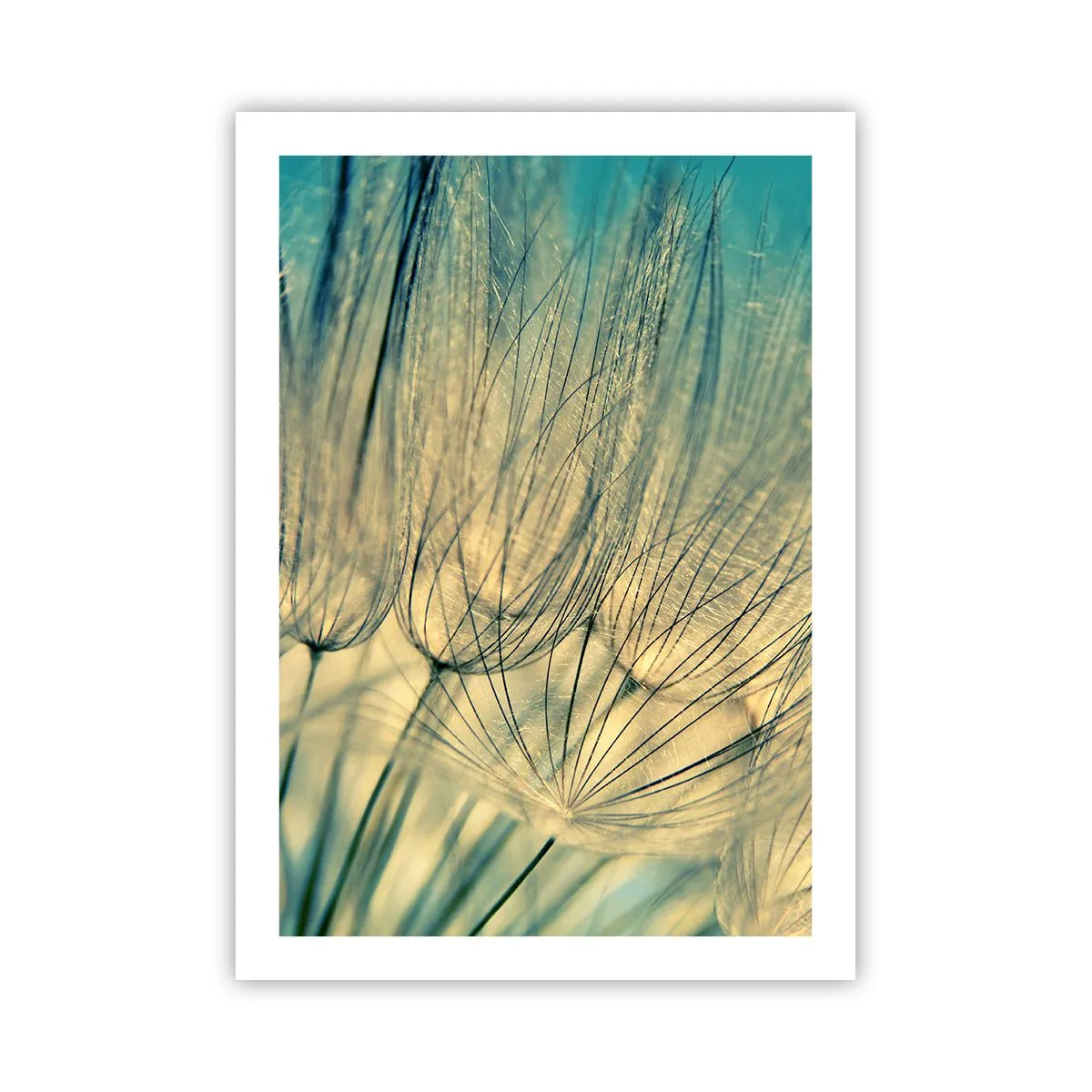 Poster - In afwachting van de wind - 50x70 cm