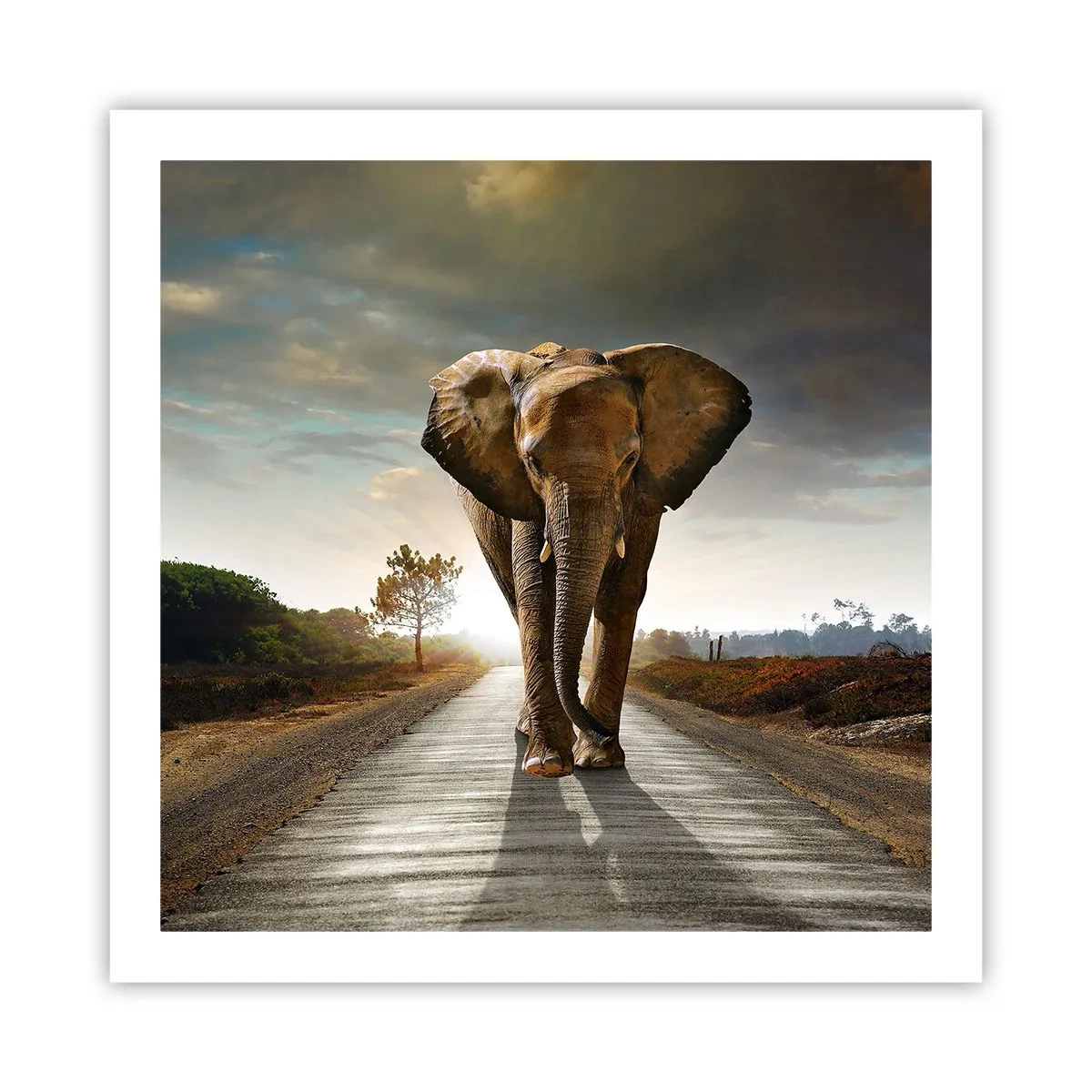 Poster - En helemaal niet in een porseleinen pakhuis - 60x60 cm