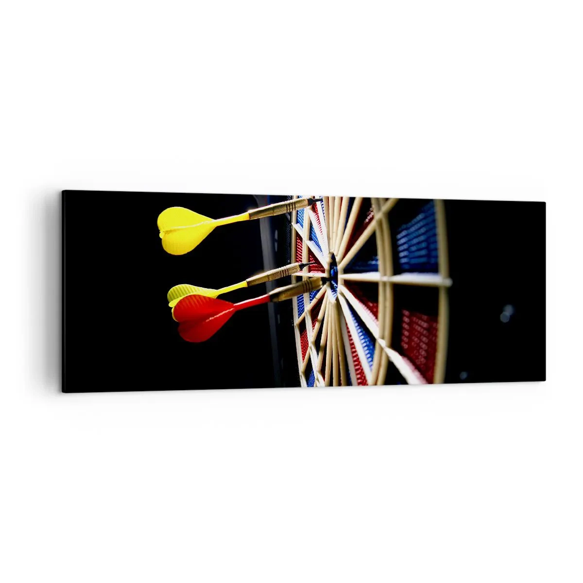 Schilderen op canvas - De spikerop de kop - 140x50 cm