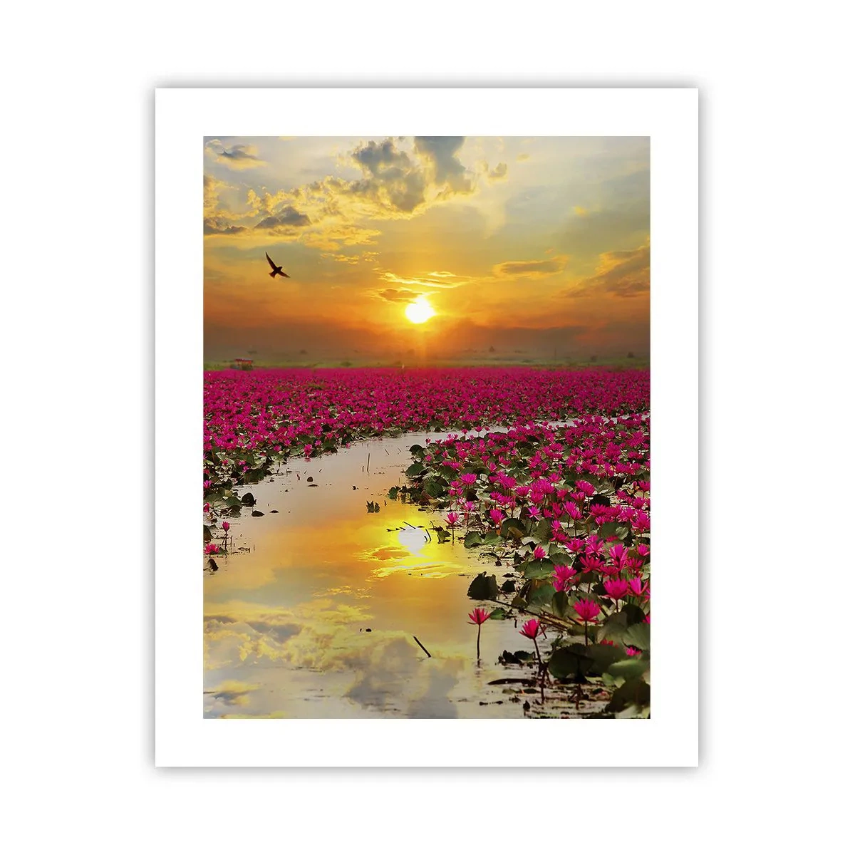 Poster - Het geheime leven van het meer - 40x50 cm