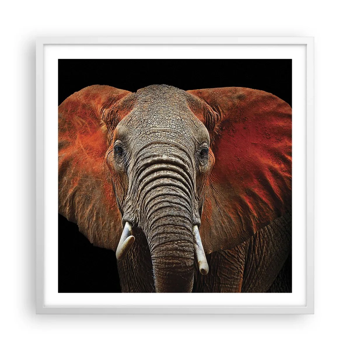 Poster in een witte lijst - Ik ben wild, en jij? - 60x60 cm