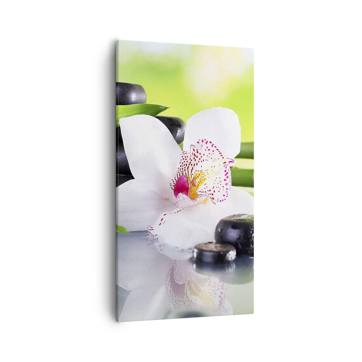 Schilderen op canvas - Koele frisheid - 55x100 cm